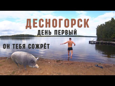 Видео: ДЕСНОГОРСК - ДЕНЬ 1 (ЗАЕЗД / КАБАН / РЫБАЛКА)