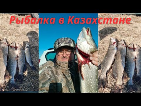 Видео: Рыбалка в Казахстане!!!!!Лед расстаял,опять рыбачу на кружки.Все праздники провел на природе.