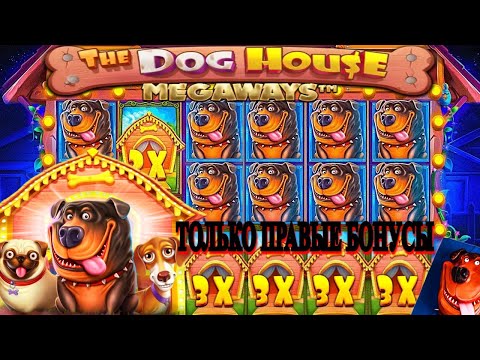Видео: ФАНТАСТИКА! БОНУС ЗА 10.000 ВЫДАЛ 416.000! ТОЛЬКО ПРАВЫЕ БОНУСЫ В DOG HOUSE MEGAWAYS / ЗАНОСЫ НЕДЕЛИ