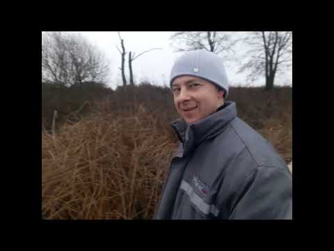 Видео: Кладьковка зимняя рыбалка Старица, Десна