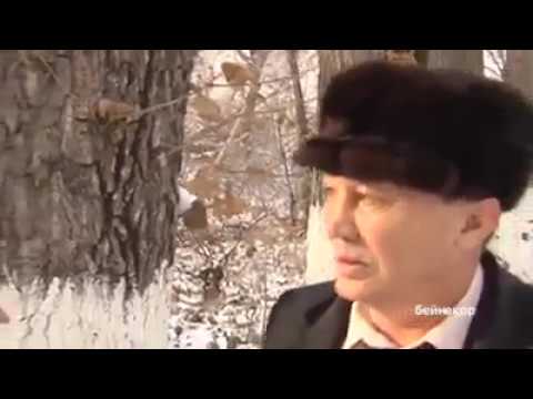 Видео: ЖҰМАТАЙДЫҢ ҚАҒАНАТЫ. ЕСЕНҚҰЛ ЖАҚЫПБЕК