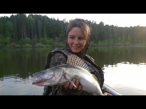 Видео: Рыбалка.Судаки на перемёт,перетягу,с лодки ПВХ. Zander fishinq.
