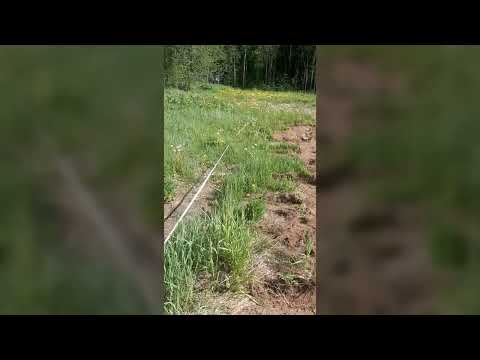 Видео: Первый этап вспашки земли на участке. Вот и лето пришло.