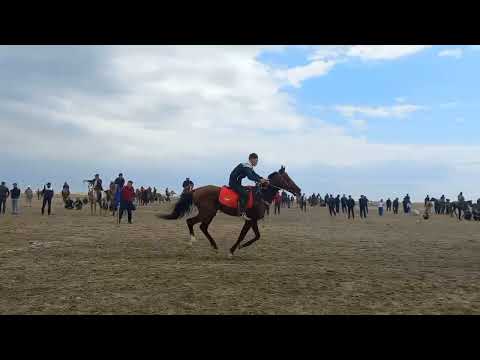 Видео: Миллий Ат ойынлары турнири. Ат жарысы, Ылақ ойыны. #каракалпакстан #муйнак