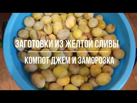 Видео: Заготовки  из желтой сливы.