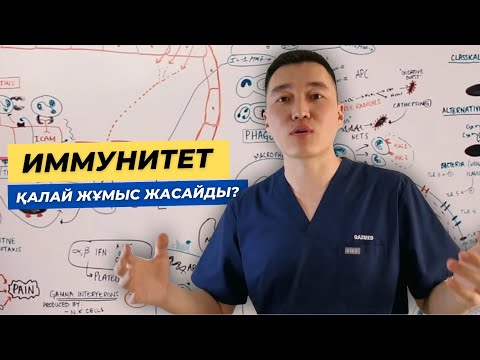 Видео: Иммунология | Вакцинация | Гистосәйкестік