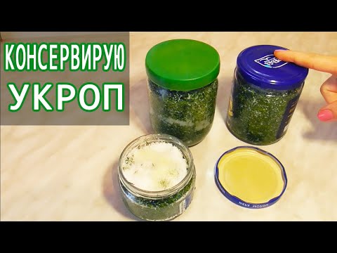 Видео: Консервация Укропа. Заготовка зелени в домашних условиях. Как засолить укроп в банках. Свежая зелень