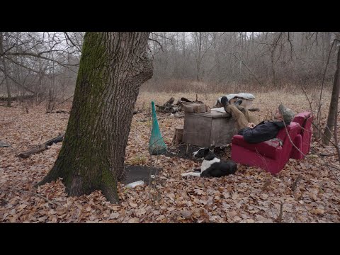 Видео: Поход в лес за грибами, зимний опенок (фламмулина) вешенка, рядовка