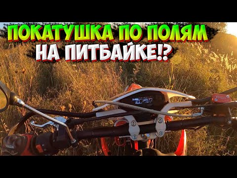 Видео: ПОКАТУШКА В ПОЛЯХ на ПИТБАЙКЕ PROGASI SMART 150!