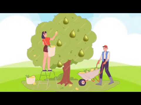 Видео: Розвиток мовлення "Дари осені ". Старша група.