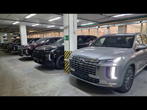 Видео: Свежее поступление Hyundai Palisade, Staria, Custin, Tucson 2024 года! В наличии в Москве с ПТС!