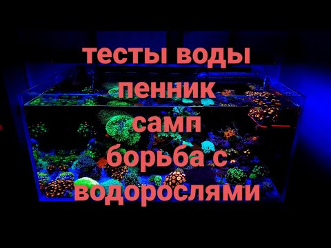Видео: Тесты, пенник, самп, борьба с водорослями.