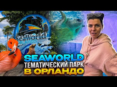 Видео: Подводный мир / Парк развлечений SeaWorld Орландо