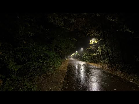 Видео: Прогулка по ночной Москве