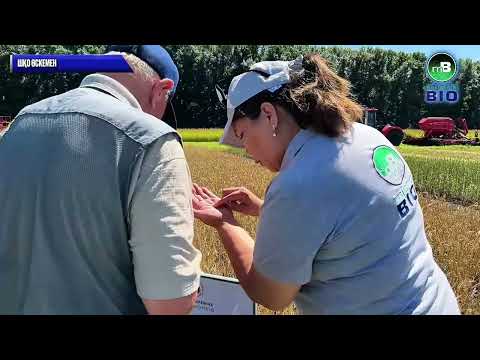 Видео: Шығыс Қазақстан Ауыл Шаруашылық Тәжірибе Станциясы (ШҚАШТС) - Дала күні 2025. Отандық өніммен сынақ.