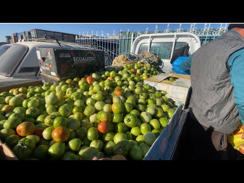 Видео: ПОМИДОР 🍅НАРХЛАРИ КЕСКИН КУТАРИЛДИ  КУК ПОМИДОР СЕЗОНИ БОШЛАНДИ БОГОТ ДЕХКОН БОЗОРИ НАРХЛАРИ
