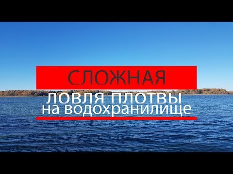 Видео: ловля плотвы на водохранилище поздней осенью