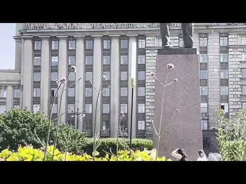 Видео: Сад цветов на Московской площади.//Санкт-Петербург