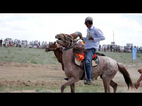 Видео: Ақкиізтоғай ауылы. 20 жылдық. Ат жарыс . 25.05.2019 ж