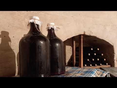 Видео: Плесень и крепость вина - зависимость. Вино из кислого и мало сахаристого винограда