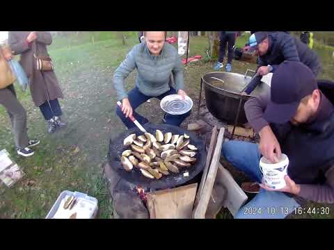 Видео: СКОЛЕ!   ГРИБФЕСТ! (ч.2)