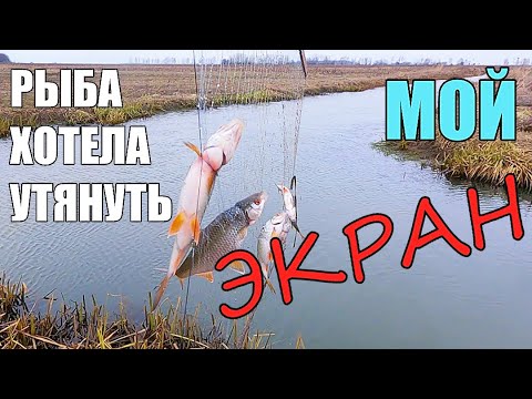 Видео: ЕСЛИ БЫ Я ЕГО НЕ ПРИВЯЗАЛ НА БЕРЕГУ...!!! Рыбалка на экраны.