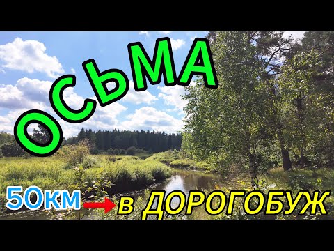 Видео: Осьма ➡ 50км до Дорогобужа ➡ на лодочке⛴