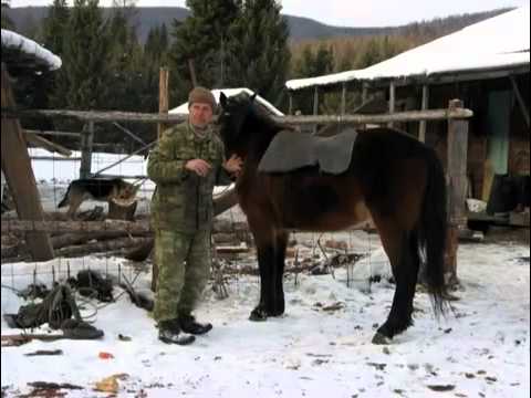 Видео: Эх, жизнь таёжная.