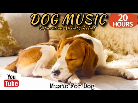 Видео: 20 часов любимой музыки собак🐶💖Музыка для сна собак 🐶🎵 Музыка для снятия беспокойства при разлуке🎵