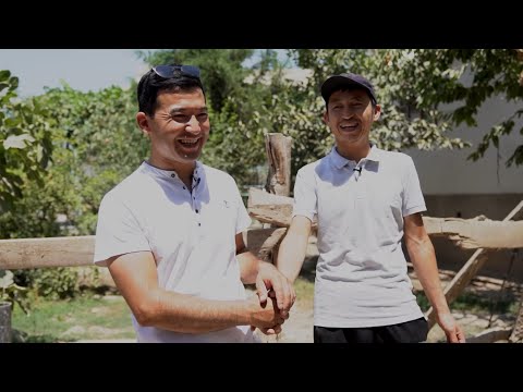 Видео: Сакалды/Чоң-Багыш/Ноокен/Жалал-Абад