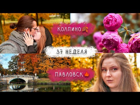 Видео: 37 неделя // КОЛПИНО И ПАВЛОВСК