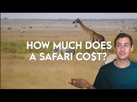 Видео: Сколько стоит сафари в 2023 году?