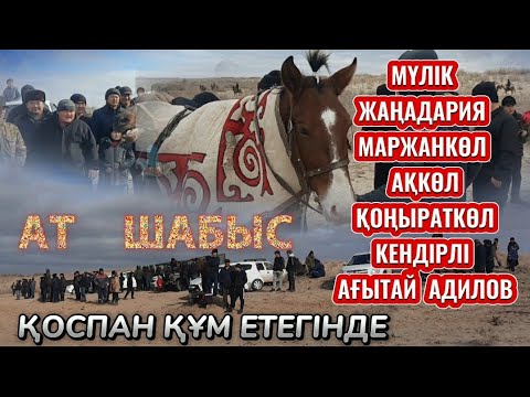 Видео: АУЫЛДАР АРА АТ БӘЙГЕСІ |  ТАХТАКӨПІР |  МҮЛІК АУЫЛЫНДА |  2024/02/11