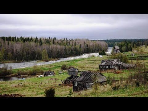 Видео: Моя жизнь в Таёжной деревне. Снова заснял Медведей. Зверь у дома. Май, Сморчки, Рыбалка.