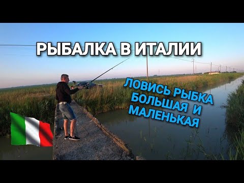 Видео: ПУТЕШЕСТВИЕ  В ИТАЛИЮ. РЫБАЛКА НА ОРОСИТЕЛЬНЫХ КАНАЛАХ