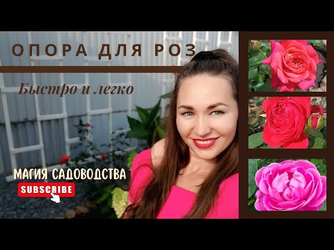 Видео: Новые опоры для роз🌹построить сможет каждый#розы  #р_е_к_о_м_е_н_д_а_ц_и_и_ #сад #опора #шпалера 