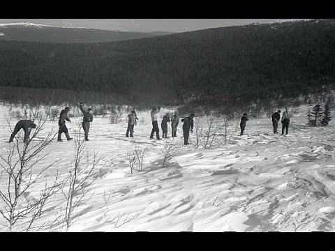 Видео: гр. Дятлова "Последняя ночёвка", часть №8.  События под кедром, подробно.