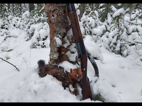 Видео: ОТКРЫТИЕ СЕЗОНА//ПРОВАЛИЛСЯ В БОЛОТО