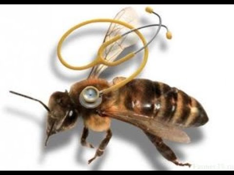 Видео: Засоби від кліщів та хвороб бджіл на натуральній основі