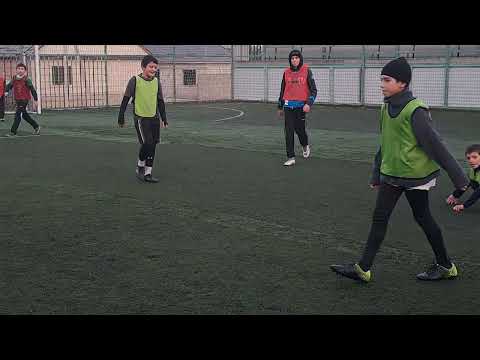 Видео: 7 ноября 2025 г.