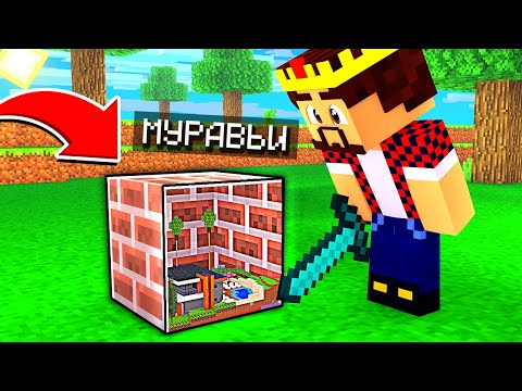 Видео: прятки ЗА МУРАВЬЁВ на КАРТЕ С УМЕНЬШЕНИЯМИ! Minecraft Прятки Муравьями