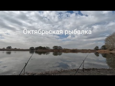 Видео: По проверенным местам. Без улова не остался. 