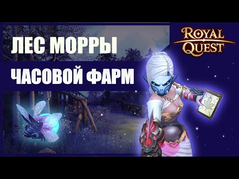 Видео: 🌀 Royal Quest - Часовой фарм в Лесу Морры (2 Карты подряд)