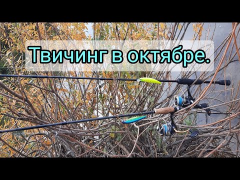 Видео: Ловля щуки на воблеры в октябре.