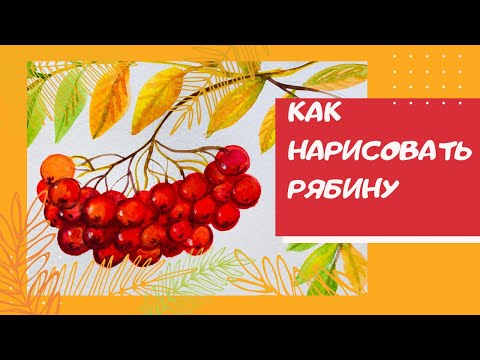 Видео: Как нарисовать рябину