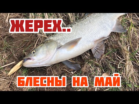 Видео: БЛЕСНЫ ДЛЯ ЛОВЛИ ЖЕРЕХА В МАЕ