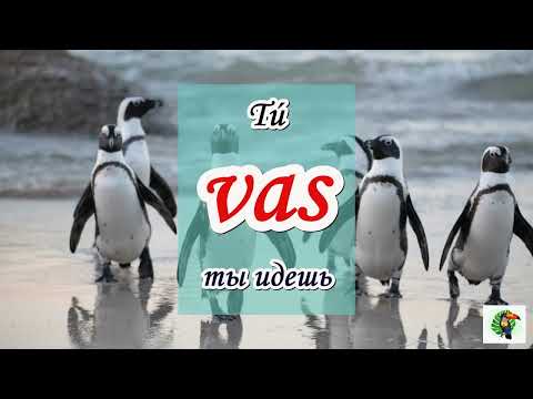 Видео: IR (идти, ехать).🚶‍♂️🛺 . Тренажер испанских глаголов. Настоящее  время.