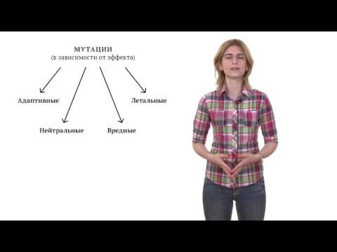 Видео: 13. Мутации и мутагенез. Решение генетических задач 9 - 11 класс