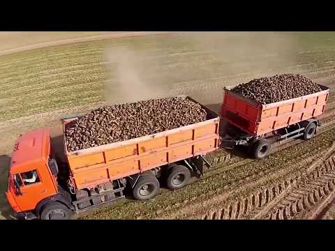 Видео: Жданівський цукровий завод