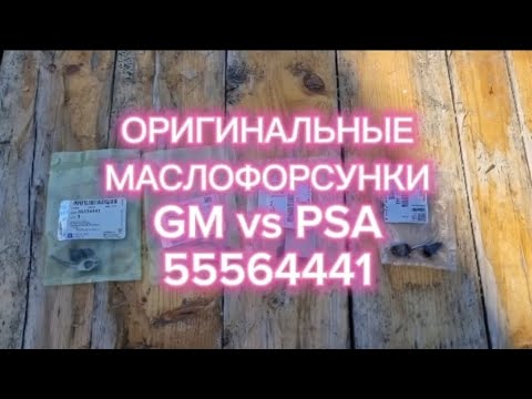 Видео: ОРИГИНАЛЬНЫЕ МАСЛОФОРСУНКИ GM и PSA 55564441